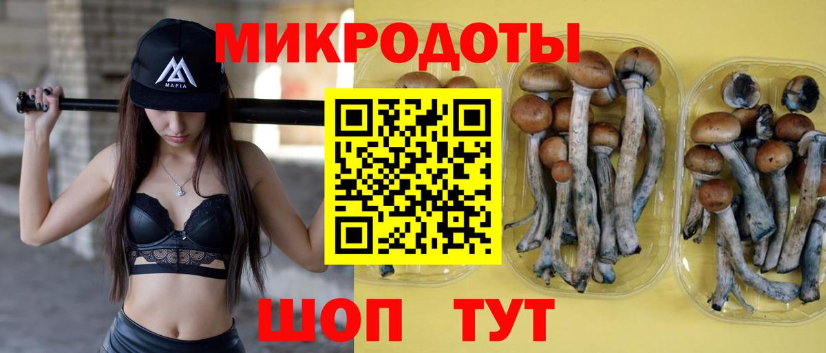 Псилоцибиновые грибы мухоморы Майский