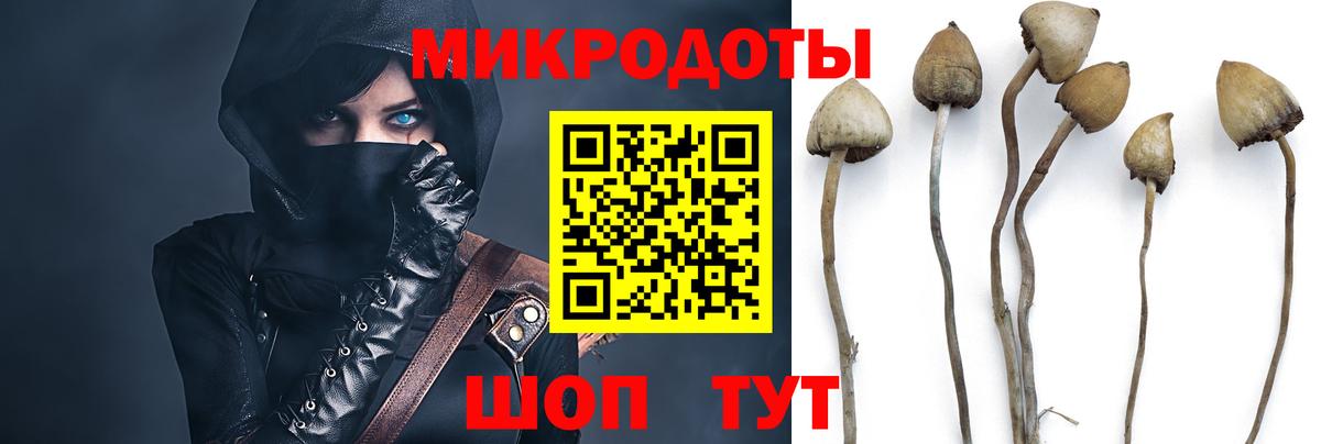 Майский  Галлюциногенные грибы Magic Shrooms  Вход с VPN 